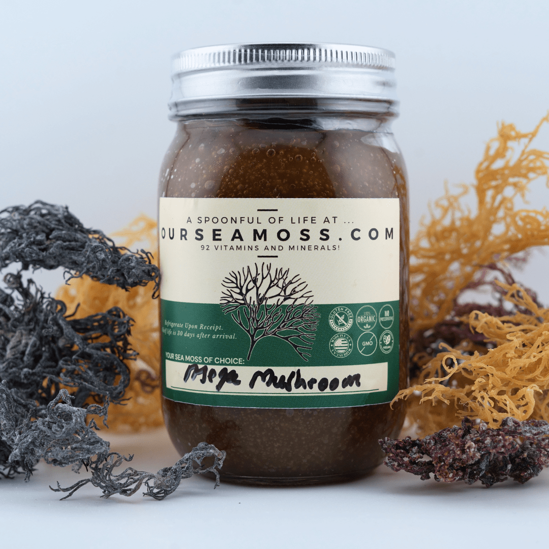 Mega-Mushroom Infused Wild Harvested Sea Moss Gel (Made Fresh To Order Everyday)