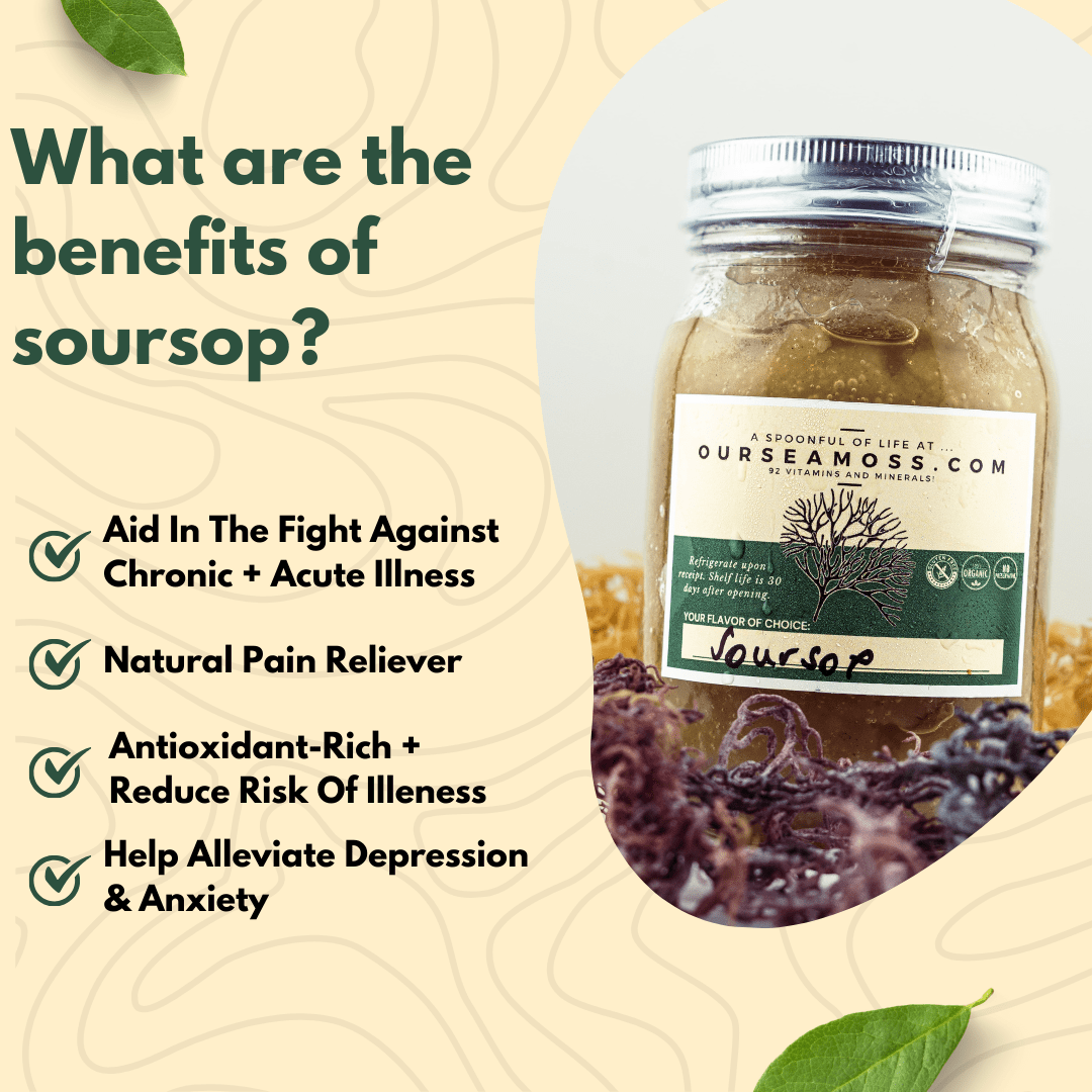 Herbal Infused Wild Harvested Sea Moss Gel