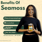 Mega-Mushroom Infused Wild Harvested Sea Moss Gel (Made Fresh To Order Everyday)