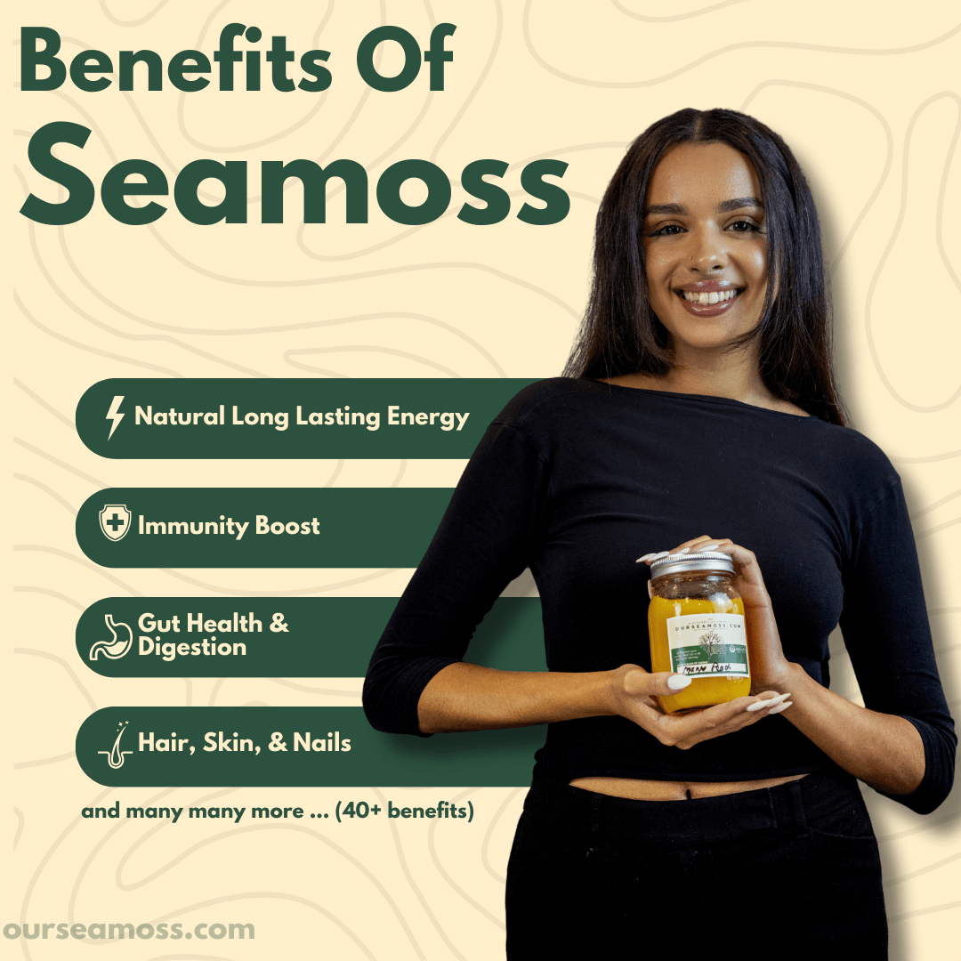 Mega-Mushroom Infused Wild Harvested Sea Moss Gel (Made Fresh To Order Everyday)